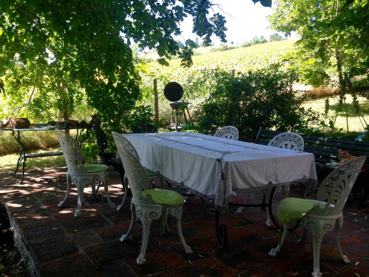 몽토방 Domaine Du Faget B&B 외부 사진